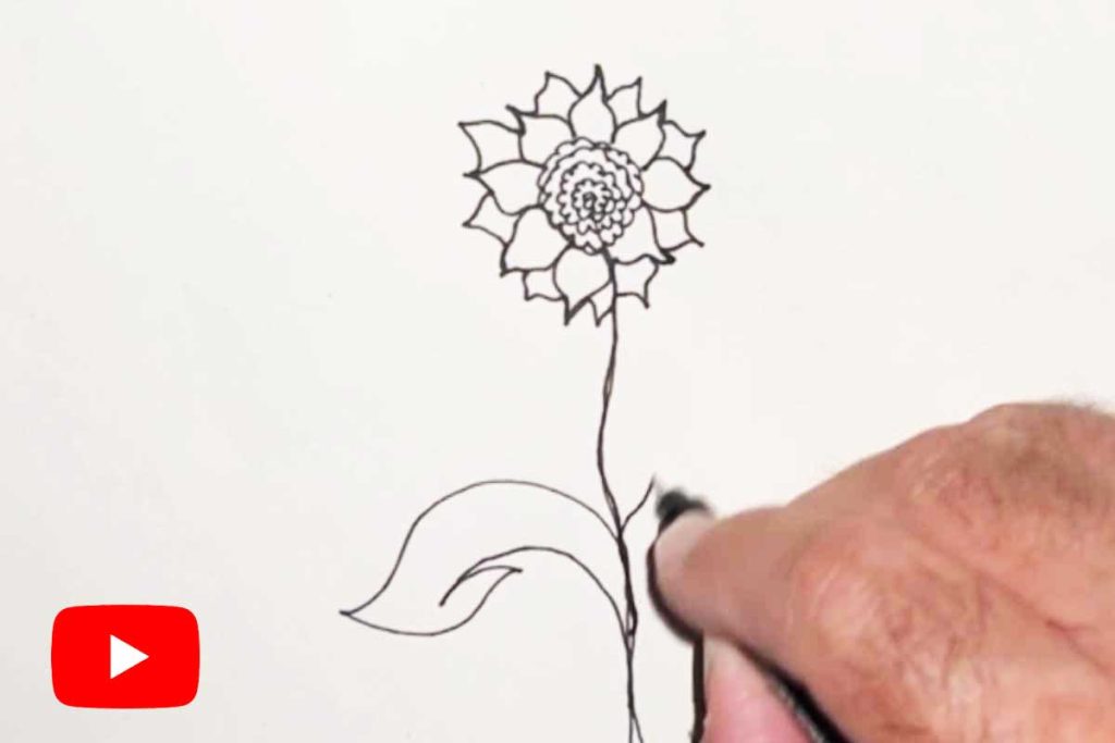 Sunflower sketch by Andy Keene